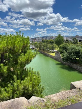 元離宮二条城に投稿された画像（2025/7/26）