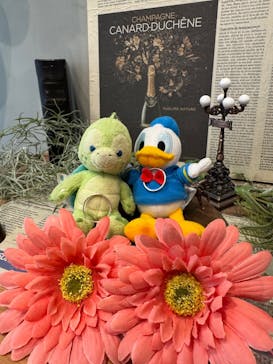 BijouxOpera 三宮Jewelry lab.（ビジュオペラ　三宮ジュエリーラボ）に投稿された画像（2025/7/26）