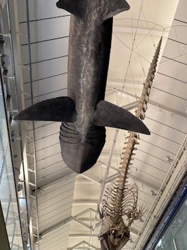 アクアワールド茨城県大洗水族館に投稿された画像（2025/7/26）