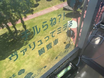 グリーンランドに投稿された画像（2025/7/26）