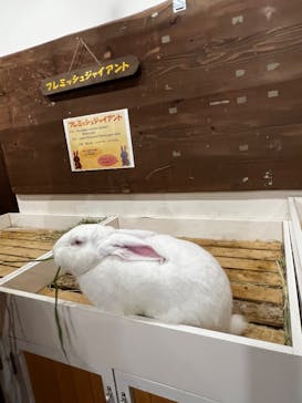 伊豆シャボテン動物公園に投稿された画像（2025/7/26）