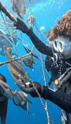 Simple marine service（シンプルマリンサービス）に投稿された画像（2025/7/26）