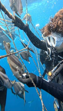 Simple marine service（シンプルマリンサービス）に投稿された画像（2025/7/26）