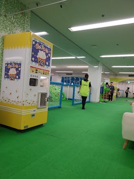 キッズランドUS 埼玉越谷店に投稿された画像（2025/7/26）