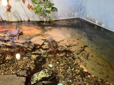 アクアテラス錦ケ丘に投稿された画像（2025/7/26）