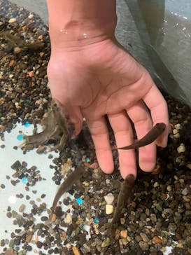 アクアテラス錦ケ丘に投稿された画像（2025/7/26）