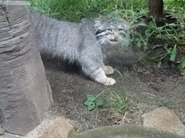 那須どうぶつ王国に投稿された画像（2025/7/26）