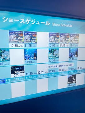 新江ノ島水族館に投稿された画像（2025/7/26）