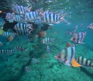 沖縄マリンサービス碧に投稿された画像（2025/7/26）