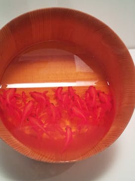 あべのハルカス美術館に投稿された画像（2025/7/26）