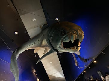 環境水族館アクアマリンふくしまに投稿された画像（2025/7/26）