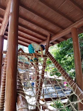 忍者の里　チビッ子忍者村に投稿された画像（2025/7/26）