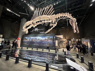 福井県立恐竜博物館に投稿された画像（2025/7/26）