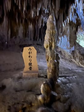 おきなわワールドに投稿された画像（2025/7/26）