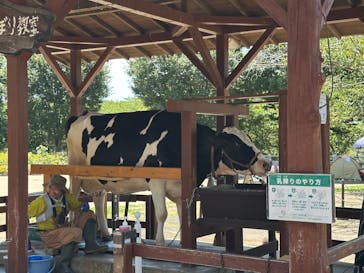 成田ゆめ牧場に投稿された画像（2025/7/26）