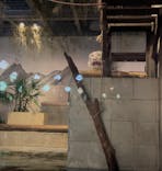 NIFREL（ニフレル）に投稿された画像（2025/7/26）