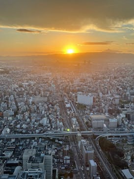 ハルカス300(展望台)に投稿された画像（2025/7/26）