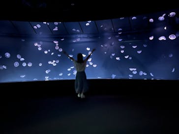 サンシャイン水族館に投稿された画像（2025/7/26）