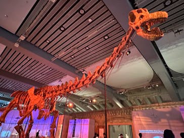 巨大恐竜展2025に投稿された画像（2025/7/26）