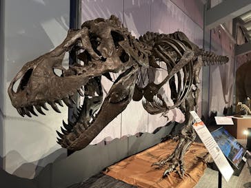 巨大恐竜展2025に投稿された画像（2025/7/26）