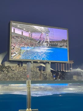 名古屋港水族館に投稿された画像（2025/7/26）