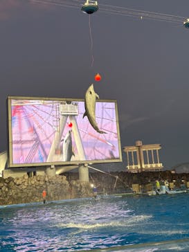 名古屋港水族館に投稿された画像（2025/7/26）