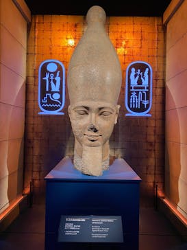 ACN ラムセス大王展 ファラオたちの黄金に投稿された画像（2025/7/26）