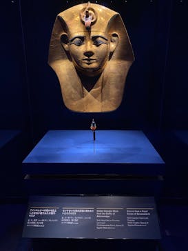 ACN ラムセス大王展 ファラオたちの黄金に投稿された画像（2025/7/26）