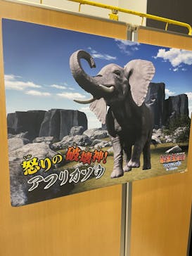 最強王図鑑フェスティバル in 東京タワーに投稿された画像（2025/7/26）