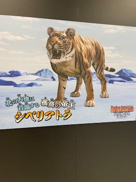 最強王図鑑フェスティバル in 東京タワーに投稿された画像（2025/7/26）