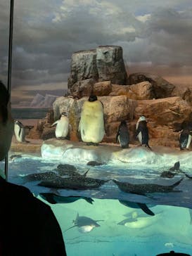 名古屋港水族館に投稿された画像（2025/7/26）