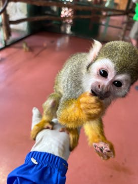 那須ワールドモンキーパークに投稿された画像（2025/7/26）