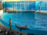 新江ノ島水族館に投稿された画像（2025/7/26）