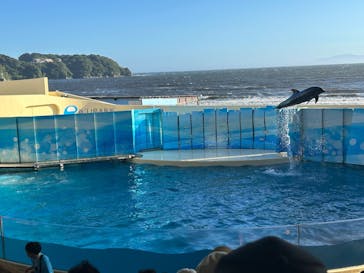 新江ノ島水族館に投稿された画像（2025/7/26）