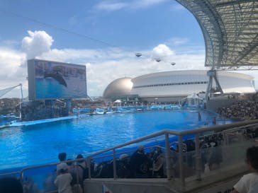 名古屋港水族館に投稿された画像（2025/7/26）