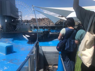 名古屋港水族館に投稿された画像（2025/7/26）