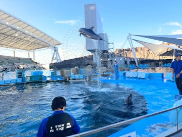 名古屋港水族館に投稿された画像（2025/7/26）