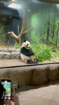 恩賜上野動物園に投稿された画像（2025/7/26）