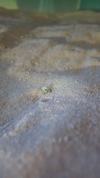 アクアワールド茨城県大洗水族館に投稿された画像（2025/7/26）