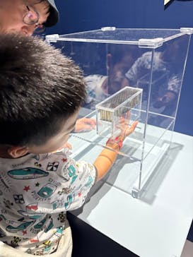 特別展「深宇宙展～人類はどこへ向かうのか」To the Moon and Beyond（日本科学未来館）に投稿された画像（2025/7/26）