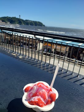 新江ノ島水族館に投稿された画像（2025/7/26）