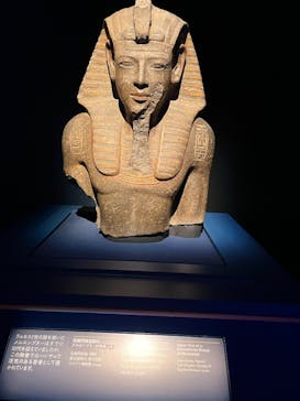 ACN ラムセス大王展 ファラオたちの黄金に投稿された画像（2025/7/26）