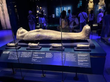 ACN ラムセス大王展 ファラオたちの黄金に投稿された画像（2025/7/26）