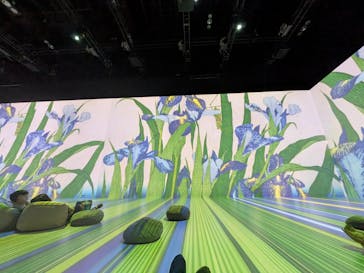 Immersive Museum OSAKA 2025に投稿された画像（2025/7/26）