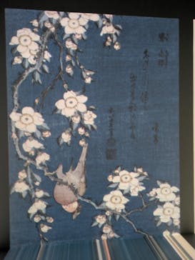 Immersive Museum OSAKA 2025に投稿された画像（2025/7/26）