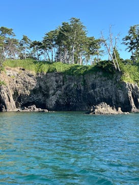 東尋坊観光遊覧船株式会社に投稿された画像（2025/7/27）