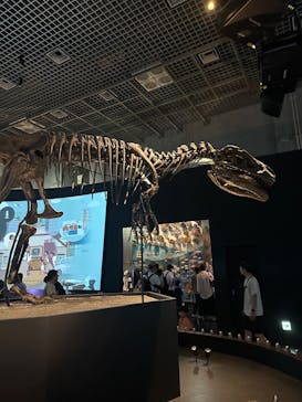 国立科学博物館に投稿された画像（2025/7/27）