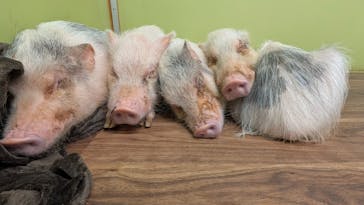 アニタッチ 東京ドームシティに投稿された画像（2025/7/27）