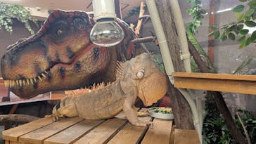 アニタッチ 東京ドームシティに投稿された画像（2025/7/27）