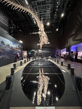 福井県立恐竜博物館に投稿された画像（2025/7/27）